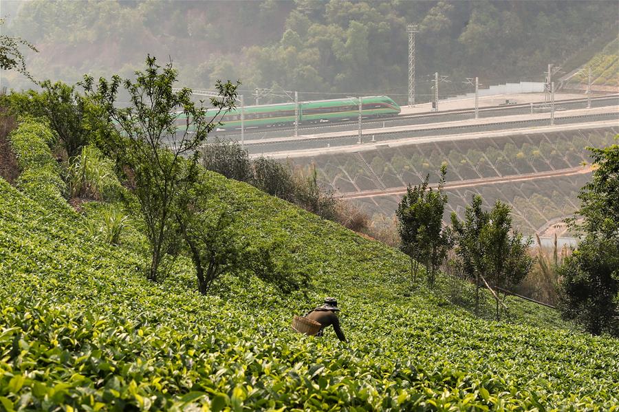 （新华全媒头条·图文互动）（3）一路飞架跨山河——写在中老铁路国际旅客列车开行首日