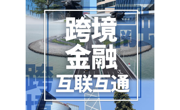 香港在粤港澳大湾区建设中做了哪些事儿