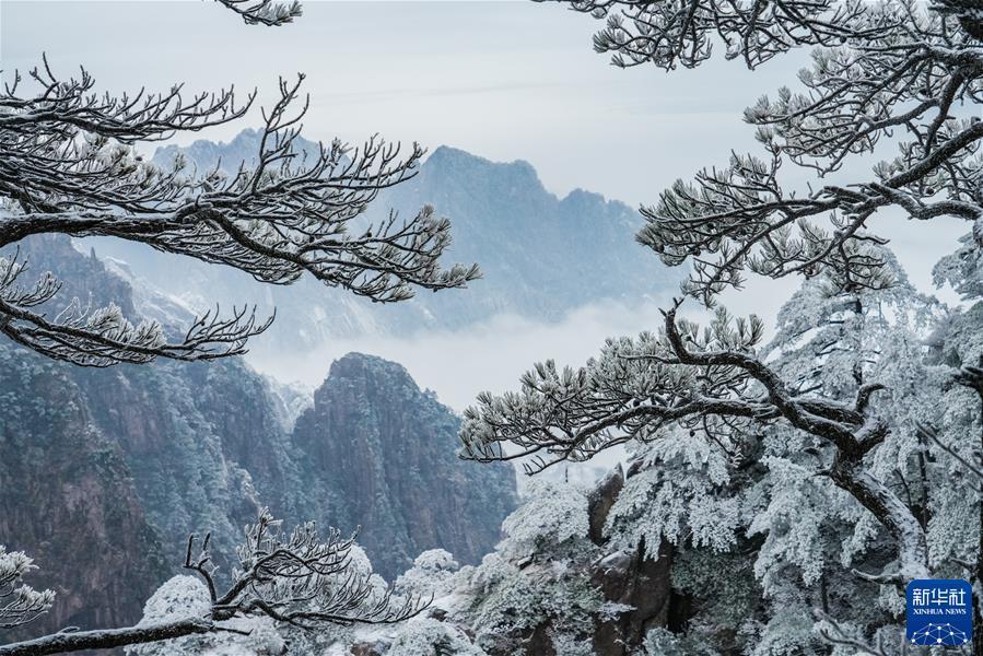 #（镜观中国·新华社国内新闻照片一周精选）（1）黄山初春雾凇美