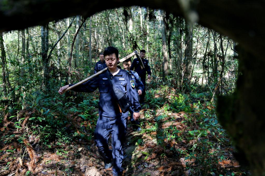 福建武夷山：国家公园守护人