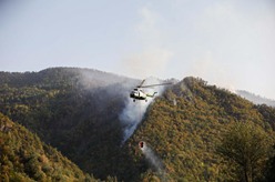 格鲁吉亚中部山火肆虐