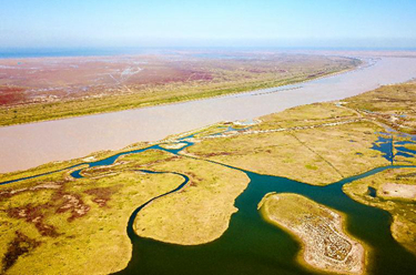 (新华全媒+ )湿地之美丨山东黄河三角洲湿地