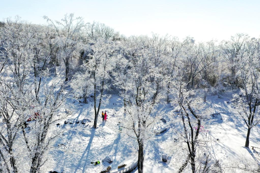 新华全媒+丨吉林：“冬闲”变“冬忙” “冰雪经济”拓宽致富路