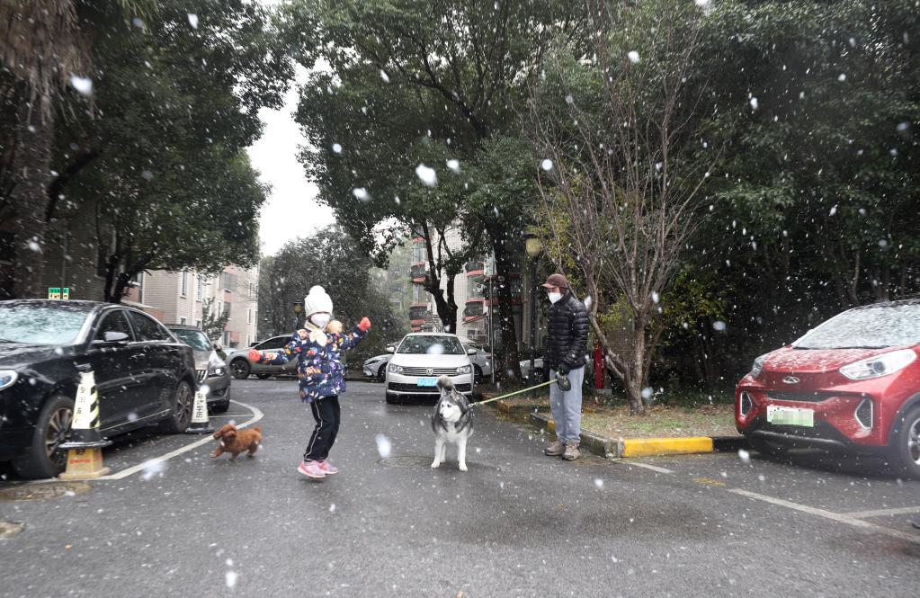 上海迎来降雪