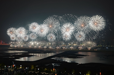 绚烂烟花送祝福