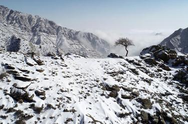 云蒸雾绕 雪后贺兰山