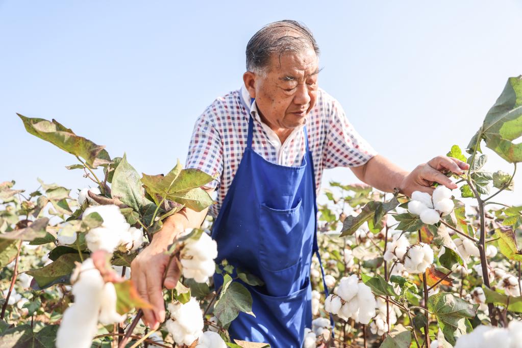 新华全媒+丨育种人的薪火相传