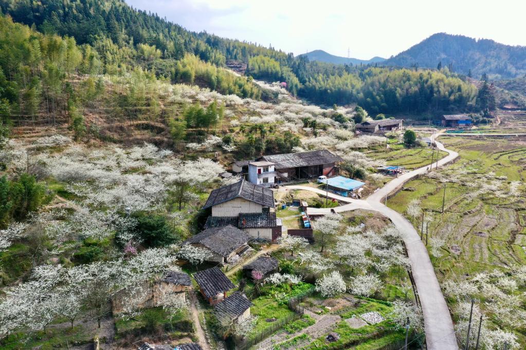 福建永泰：花开古村