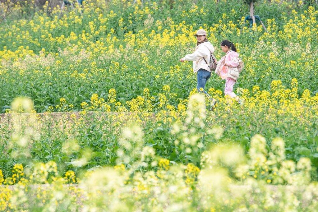 都市田园春色好