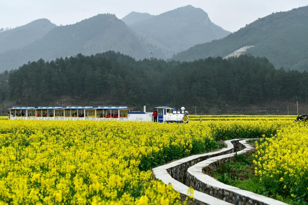 贵州贵定：“农旅融合”助力乡村振兴