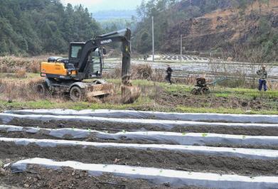 福建寨里：积极探索撂荒地治理新模式