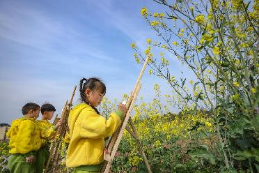 萌娃花海画菜花