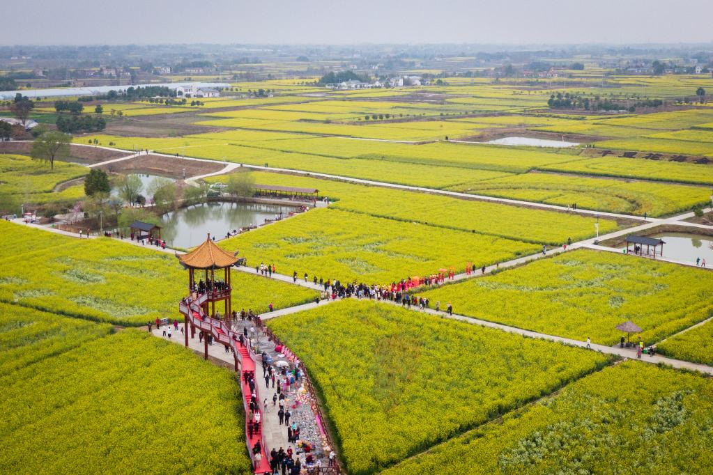 农旅融合 小油菜串起大产业