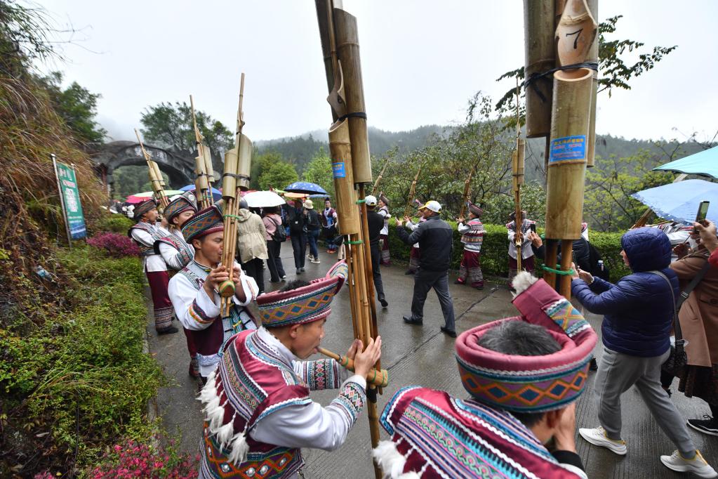 “粤桂协作”旅游专列开进大苗山