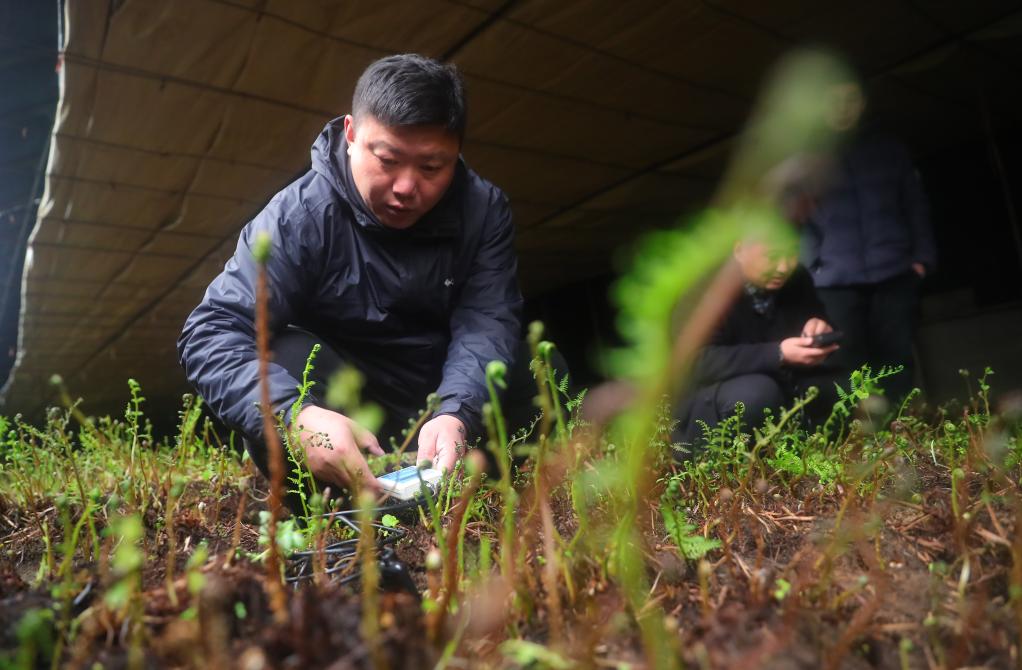 科技惠农助振兴