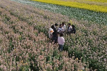 新华全媒+丨春天里的“试验田”：青春伴着泥土芬芳