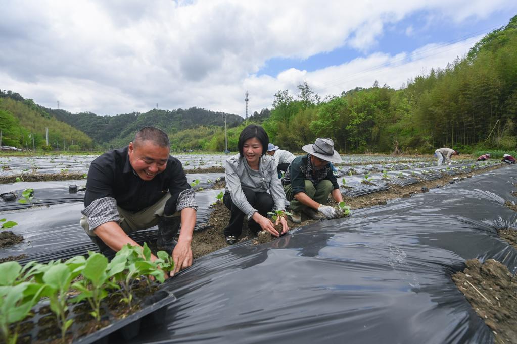 “聚一起 才更牛” 返乡创业人才助农增收