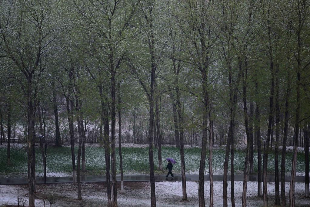 青海西宁迎来降雪天气