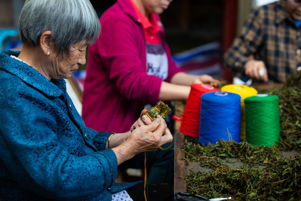 福建武夷山：制作传统龙须茶