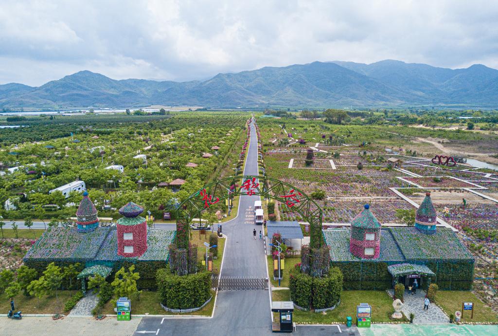 新华全媒+丨文旅融合发展：花梨谷与乡村振兴