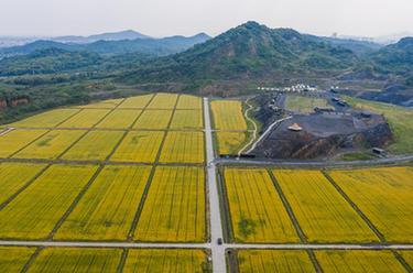 浙江德清：绿水青山涵养生态经济