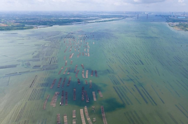 新华全媒+丨天空之眼瞰湛江：向海而兴 向海图强 向海“湛”放