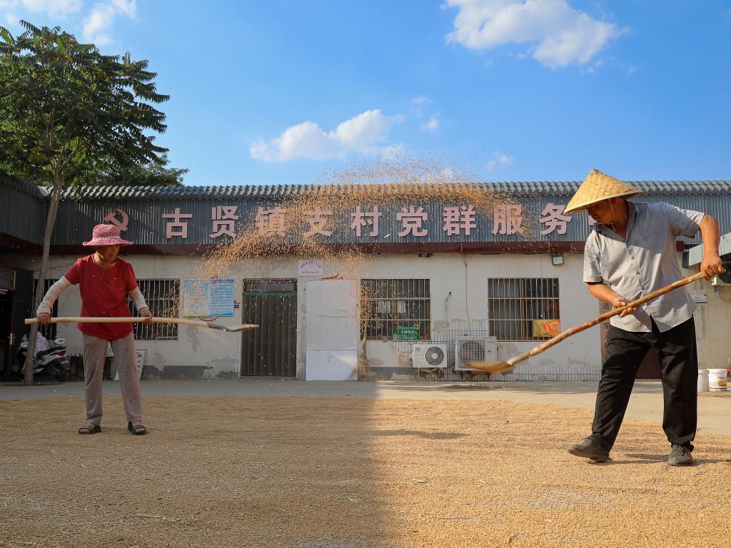 新华全媒+丨河南安阳：“腾地晒粮”解决群众“急难愁盼”