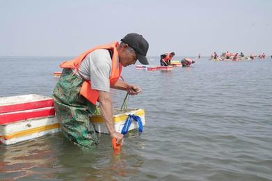 河北唐山：投礁种草修复渤海生态 “海底沙漠”现“绿洲”