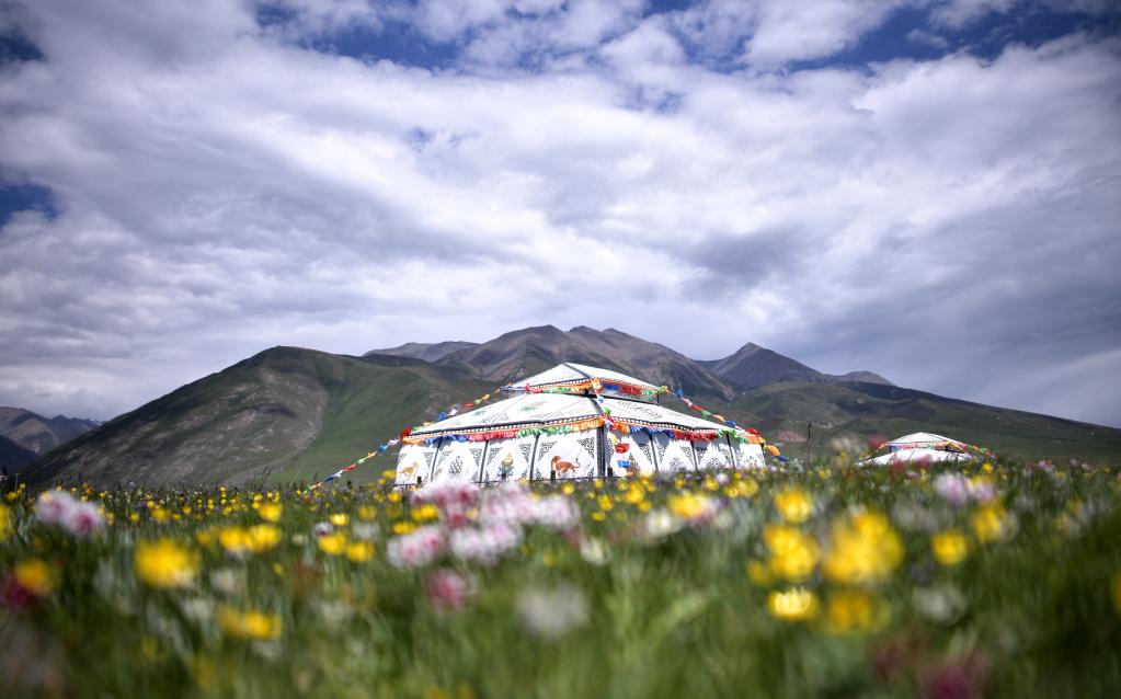 美丽中国丨祁连山之夏