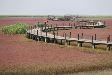 夏游红海滩