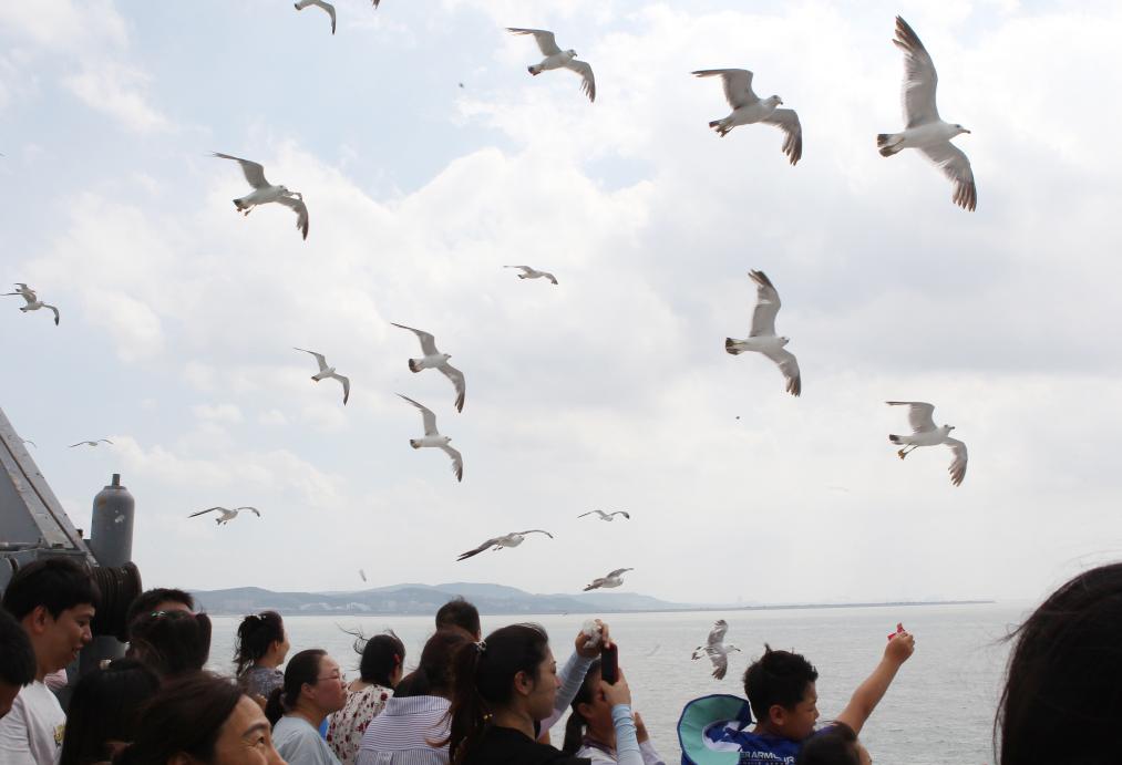 蓬莱海滨旅游热