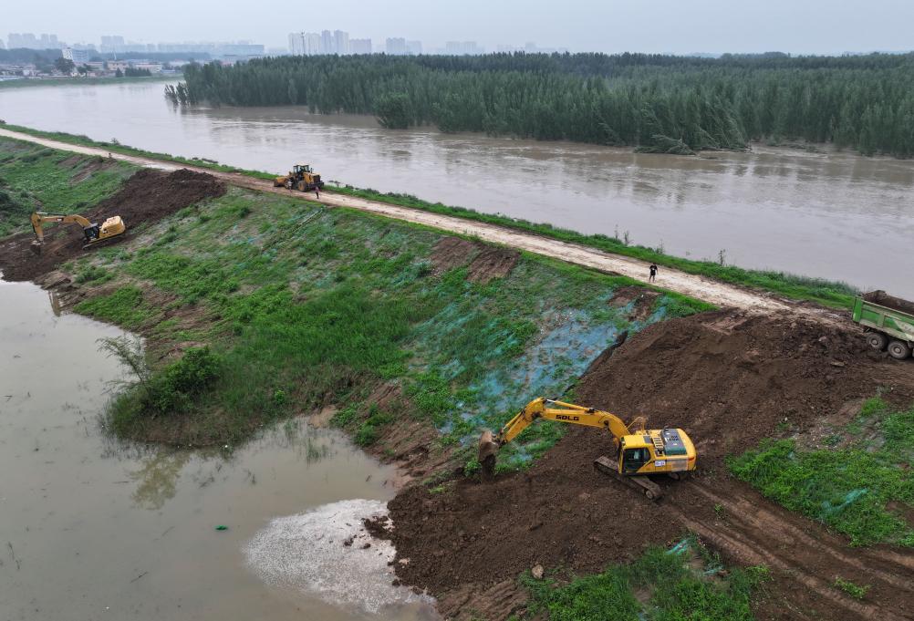 河北白沟：加固岸堤排险情