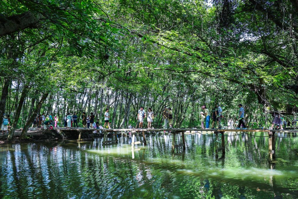 夏日古村旅游热