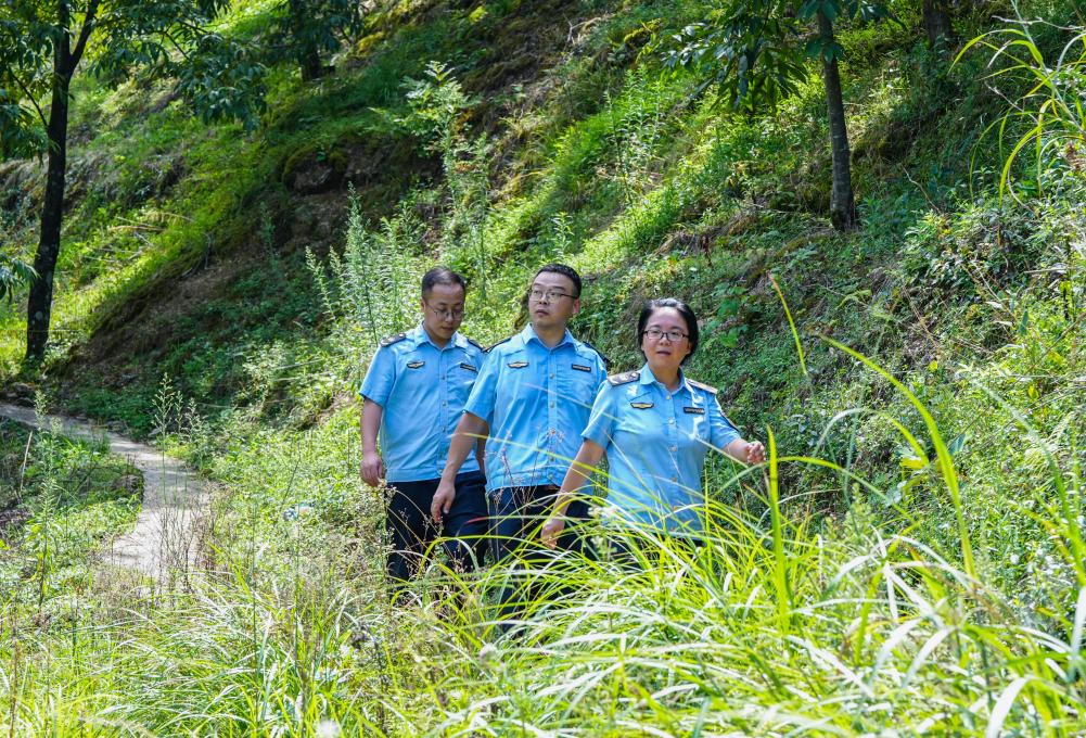 跨省联防联治推动清凉峰生态保护