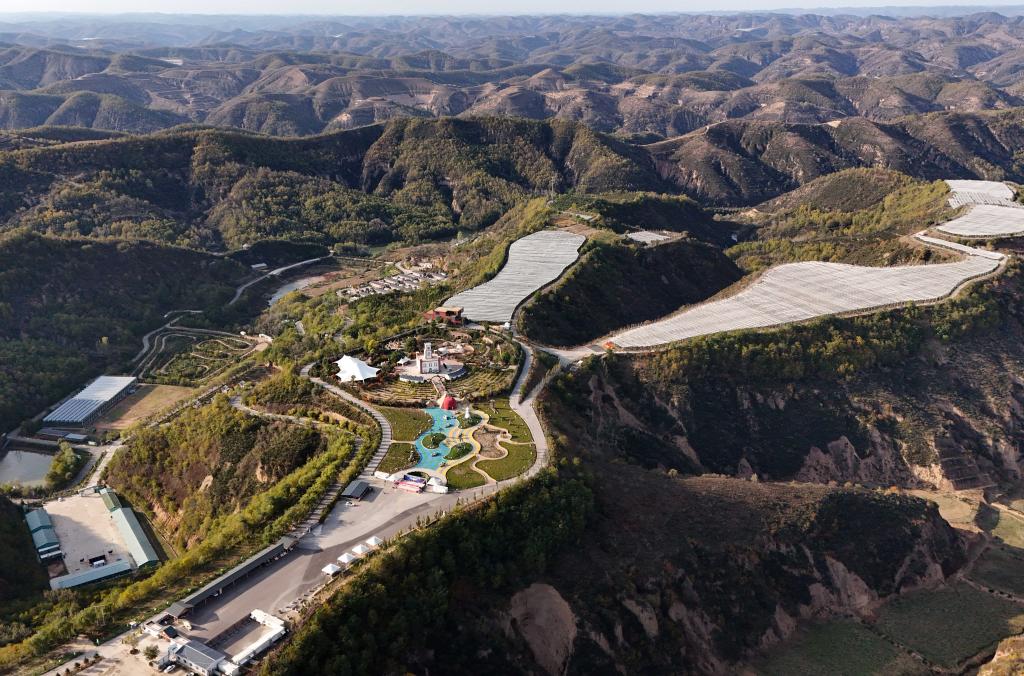 乡村行·看振兴丨延安南沟村：黄土高原上的山乡之变