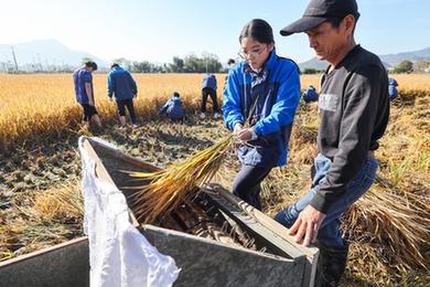 浙江诸暨：校园开启乡土劳动教育课