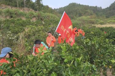 新华全媒+丨福建宁德：在“四下基层”实践中培养锻炼年轻干部