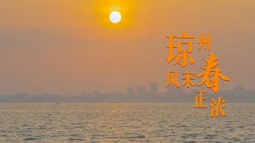 琼州风来春正浓