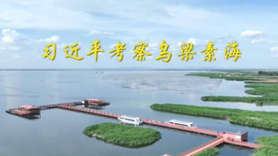 第1视点丨习近平考察乌梁素海