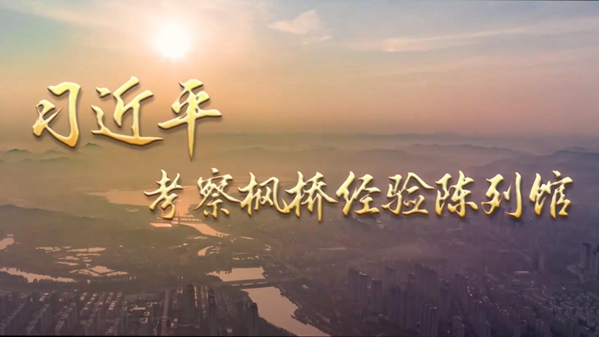 第1视点丨习近平考察枫桥经验陈列馆