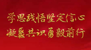 党的十九届六中全会精神基层宣讲综述