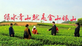 伟大变革丨“治未病”“治已病”“防复发”——解码成都“诉源治理”