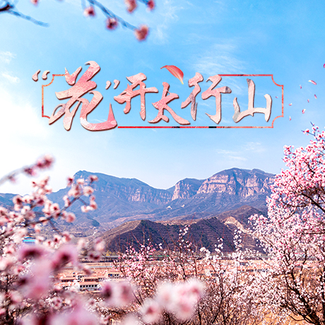 “花”开太行山