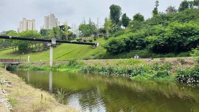 四川内江：一滴污水的“再生之旅”