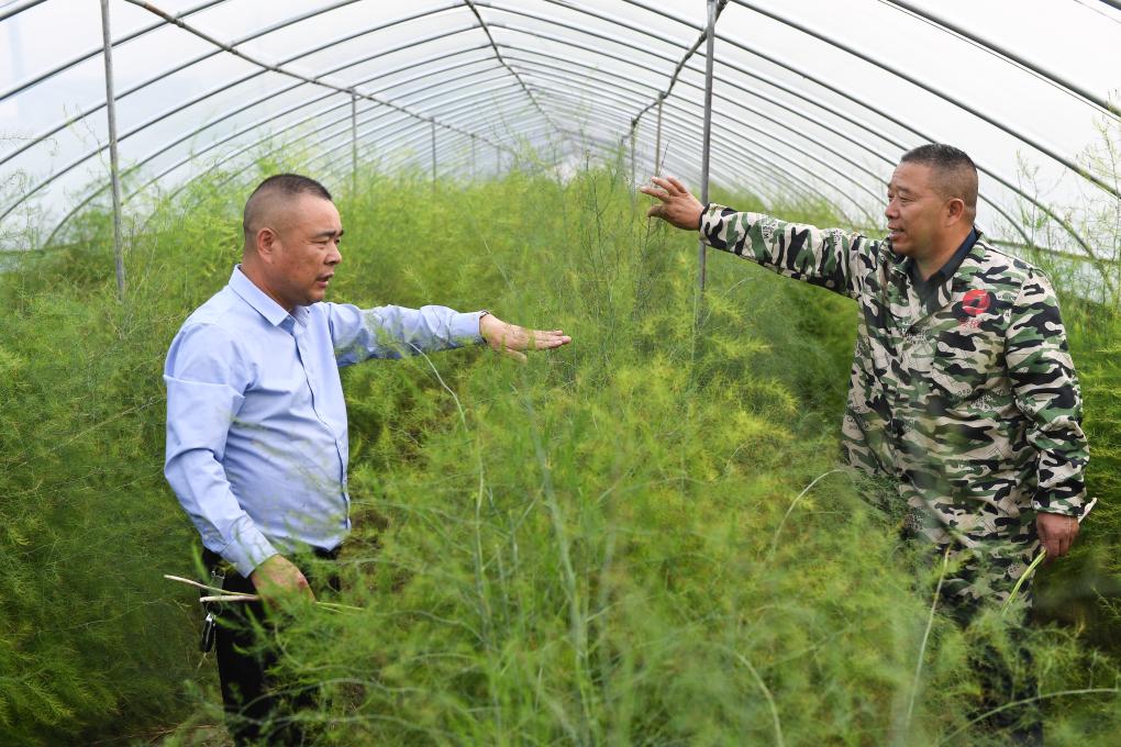 江苏涟水：发挥人大代表优势 助力乡村振兴